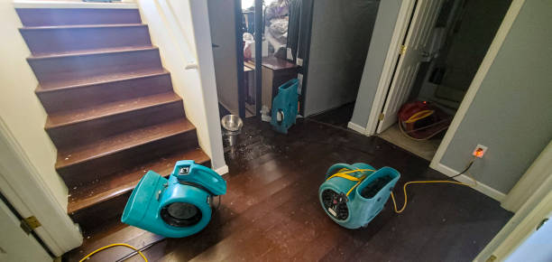 Best Flooded house restoration  in Willow Springs, MO