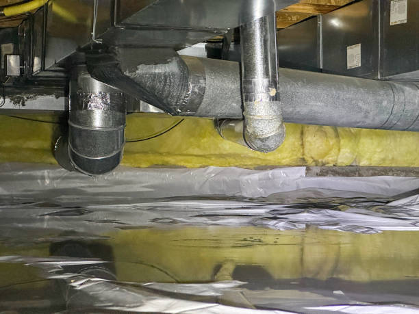 Best Sewage cleanup and water damage restoration  in Willow Springs, MO