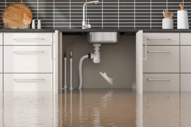 Best Water damage contractors near me  in Willow Springs, MO