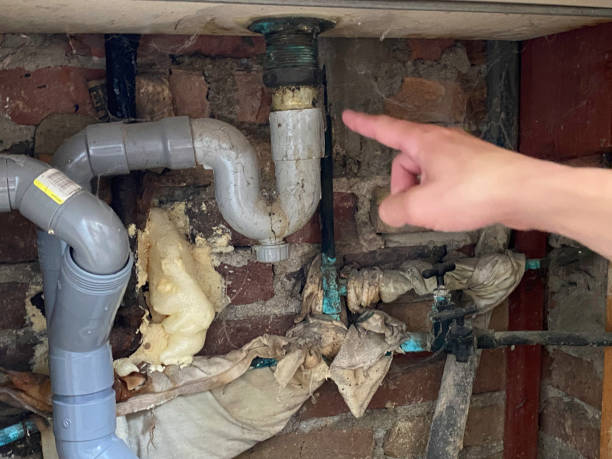 Best 24/7 water damage repair  in Willow Springs, MO