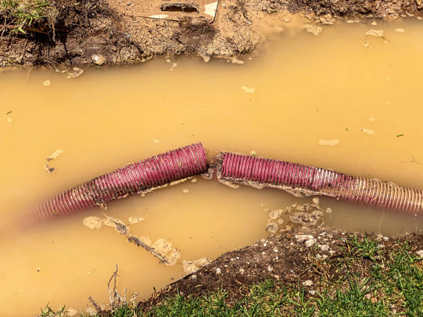 Water damage restoration insurance claims in MO