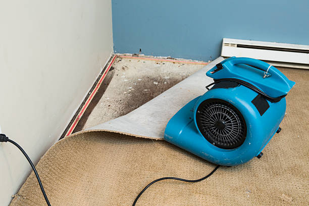 Best Flood restoration services  in Willow Springs, MO